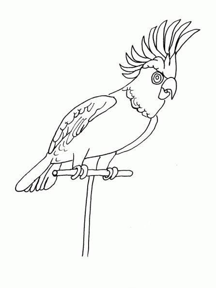 Dessin à colorier: Perroquet (Animaux) #16233 - Coloriages à Imprimer Gratuits