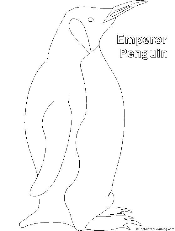 Dessin à colorier: Pingouin (Animaux) #16994 - Coloriages à Imprimer Gratuits