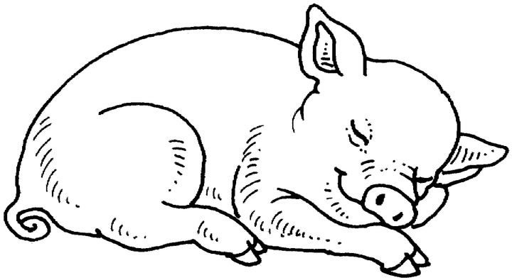 Dessin à colorier: Porc (Animaux) #17679 - Coloriages à Imprimer Gratuits
