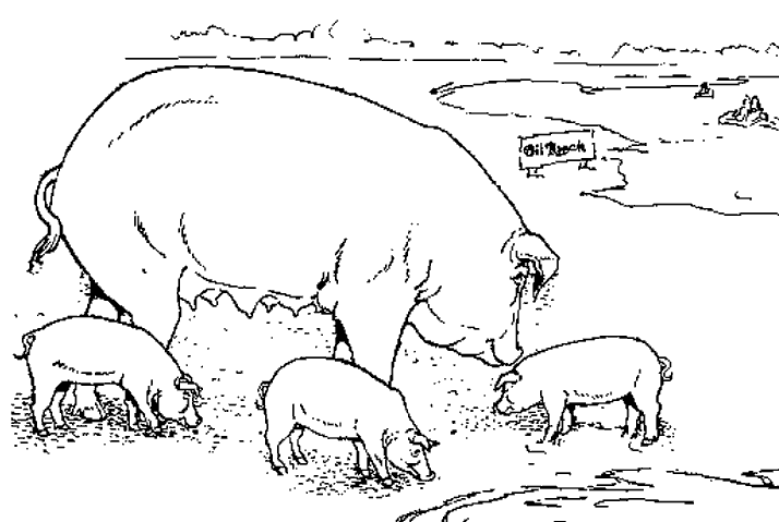Dessin à colorier: Porc (Animaux) #17681 - Coloriages à Imprimer Gratuits