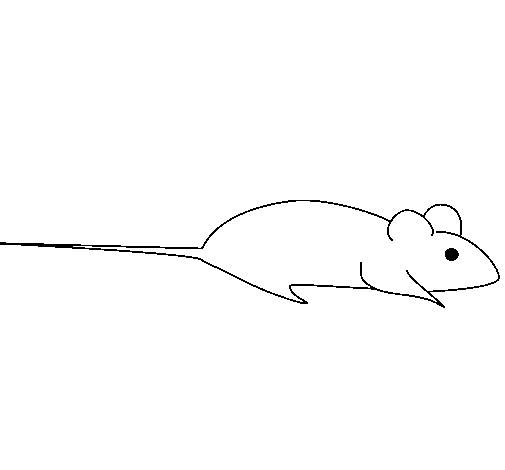 Dessin à colorier: Rat (Animaux) #15187 - Coloriages à Imprimer Gratuits