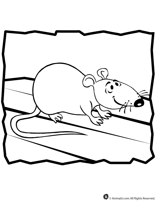 Dessin à colorier: Rat (Animaux) #15202 - Coloriages à Imprimer Gratuits