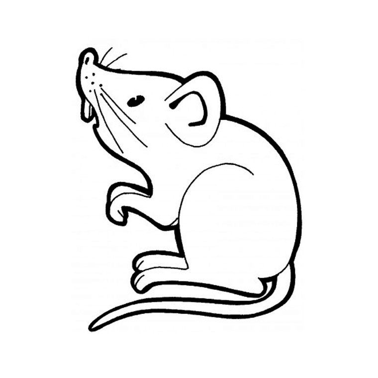 Dessin à colorier: Rat (Animaux) #15219 - Coloriages à Imprimer Gratuits