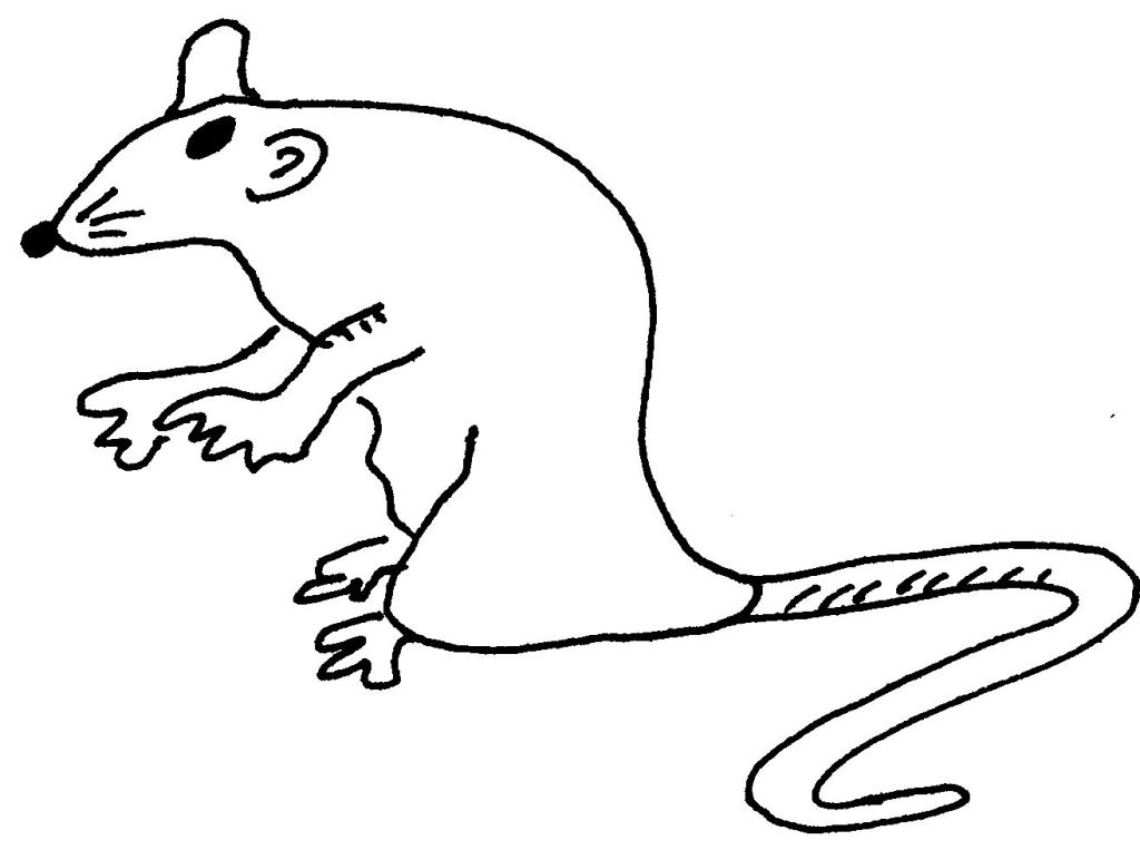 Dessin à colorier: Rat (Animaux) #15242 - Coloriages à Imprimer Gratuits