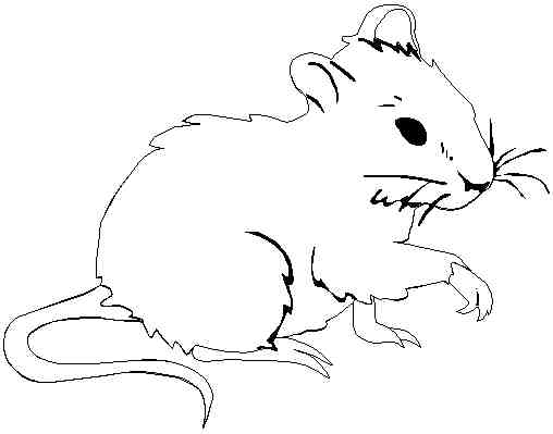 Dessin à colorier: Rat (Animaux) #15249 - Coloriages à Imprimer Gratuits