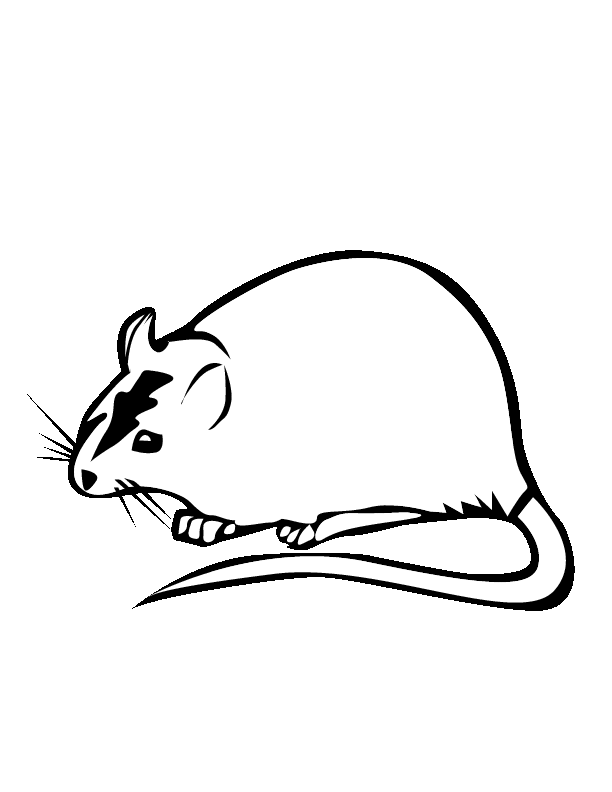 Dessin à colorier: Rat (Animaux) #15255 - Coloriages à Imprimer Gratuits