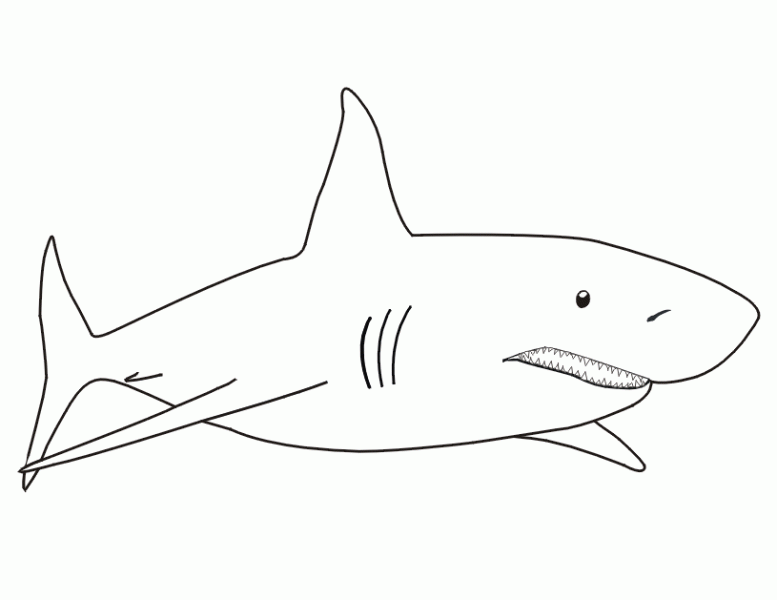Dessin à colorier: Requin (Animaux) #14766 - Coloriages à Imprimer Gratuits