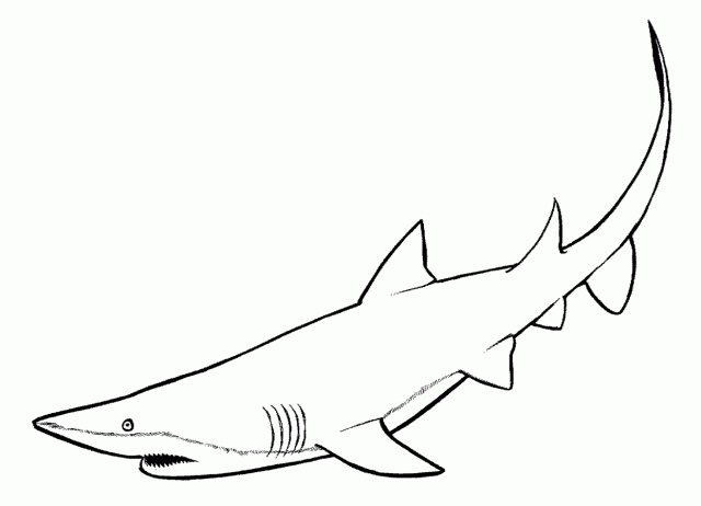 Dessin à colorier: Requin (Animaux) #14770 - Coloriages à Imprimer Gratuits