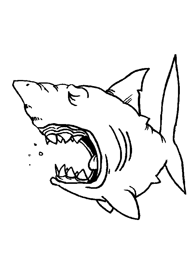 Dessin à colorier: Requin (Animaux) #14773 - Coloriages à Imprimer Gratuits