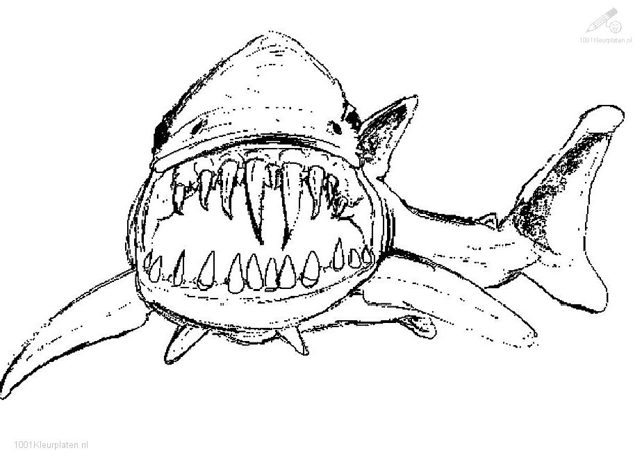 Dessin à colorier: Requin (Animaux) #14775 - Coloriages à Imprimer Gratuits