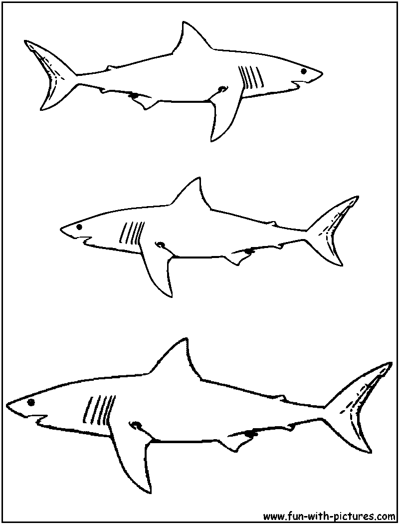 Dessin à colorier: Requin (Animaux) #14776 - Coloriages à Imprimer Gratuits