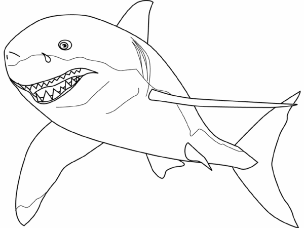 Dessin à colorier: Requin (Animaux) #14780 - Coloriages à Imprimer Gratuits