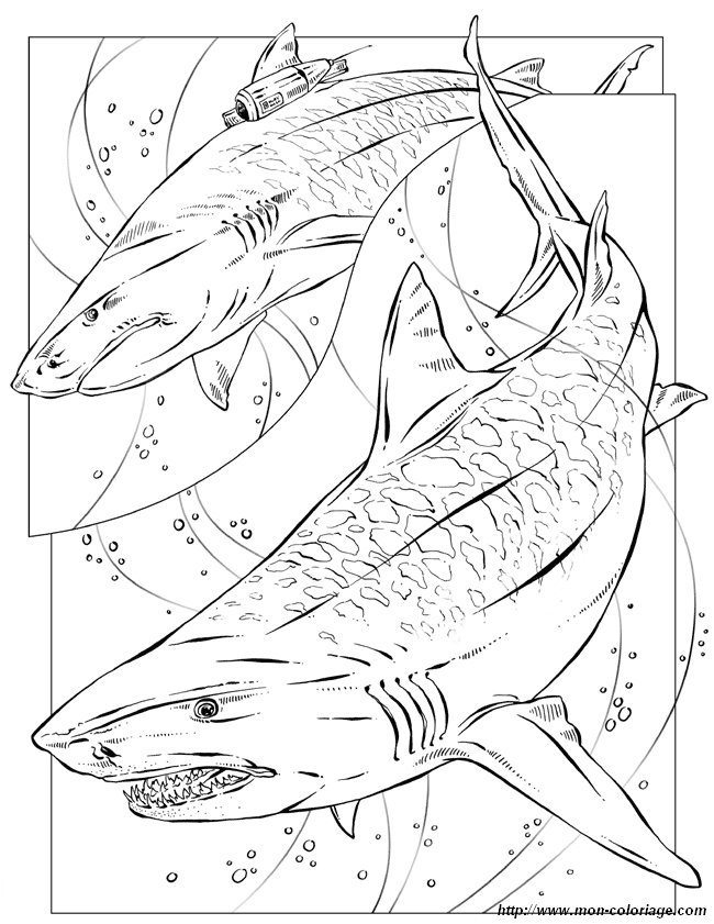 Dessin à colorier: Requin (Animaux) #14799 - Coloriages à Imprimer Gratuits