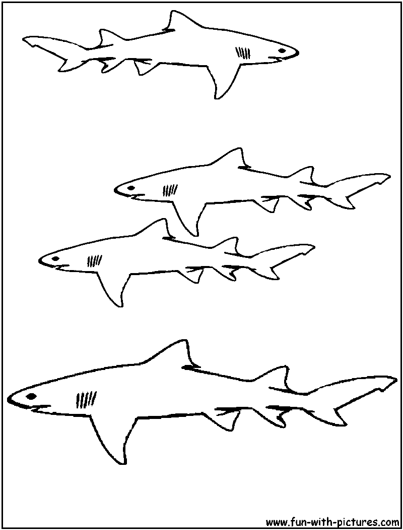 Dessin à colorier: Requin (Animaux) #14800 - Coloriages à Imprimer Gratuits