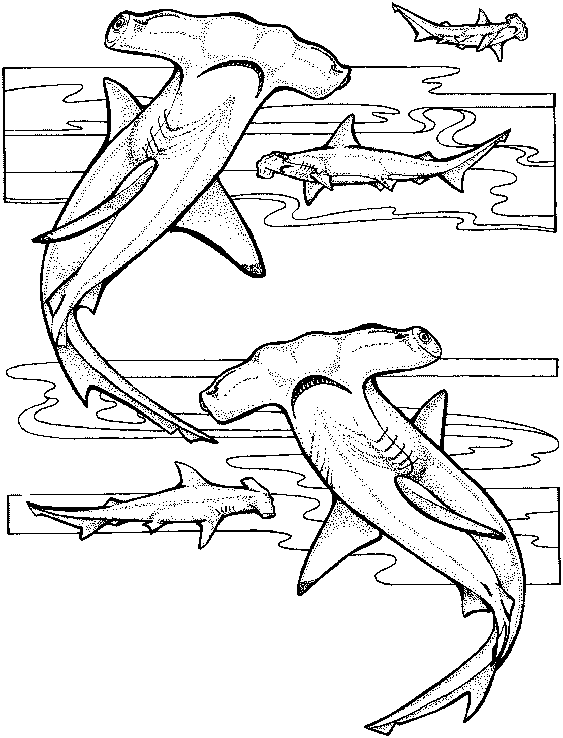 Dessin à colorier: Requin (Animaux) #14805 - Coloriages à Imprimer Gratuits