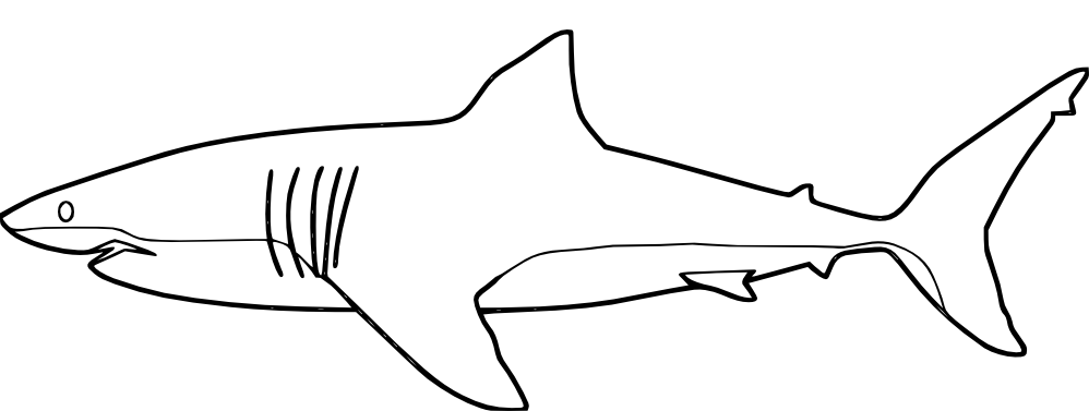 Dessin à colorier: Requin (Animaux) #14809 - Coloriages à Imprimer Gratuits
