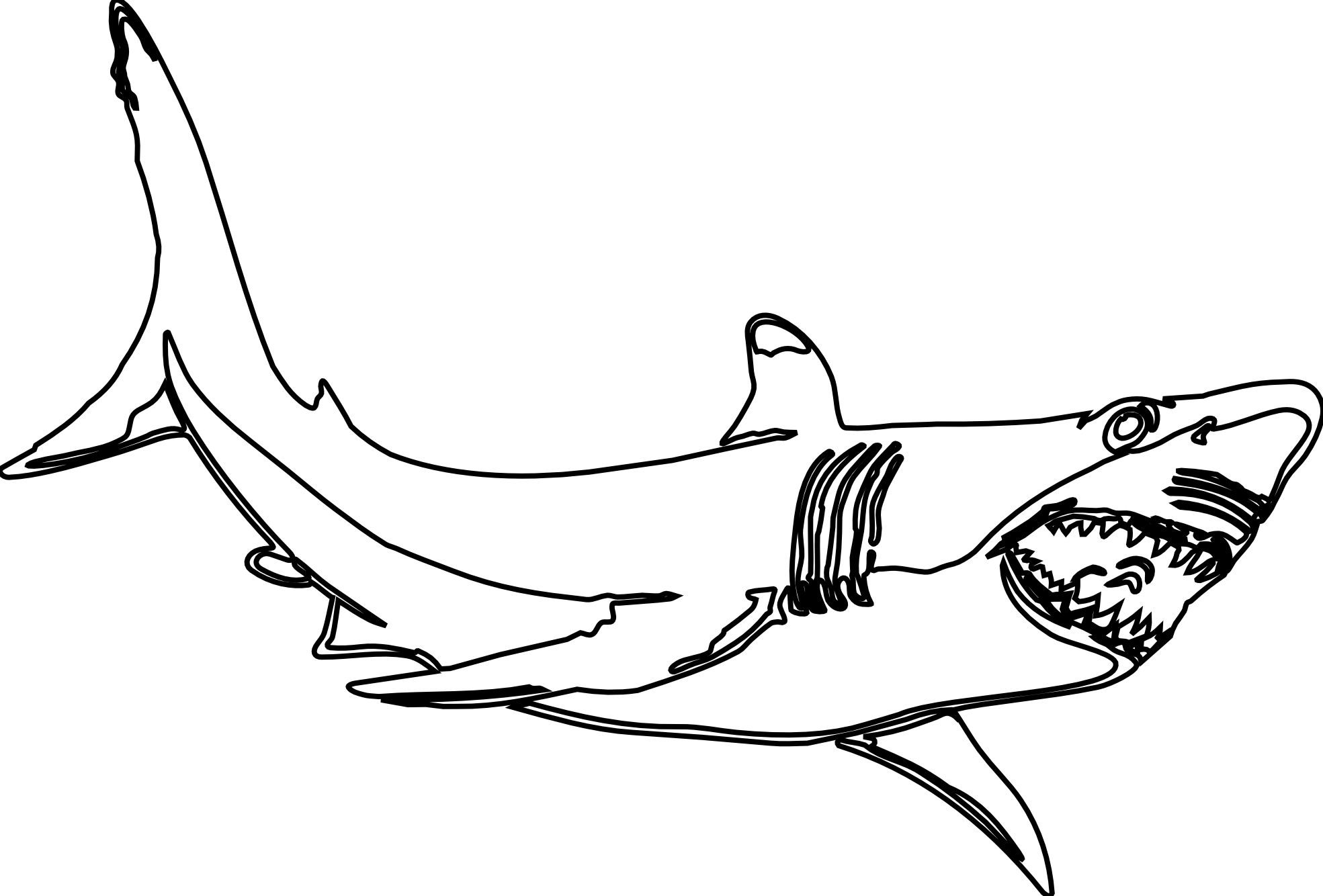Dessin à colorier: Requin (Animaux) #14837 - Coloriages à Imprimer Gratuits