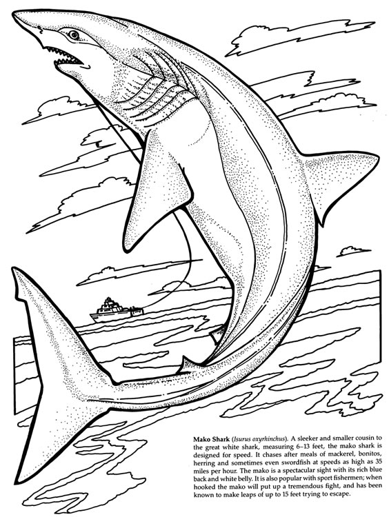 Dessin à colorier: Requin (Animaux) #14839 - Coloriages à Imprimer Gratuits