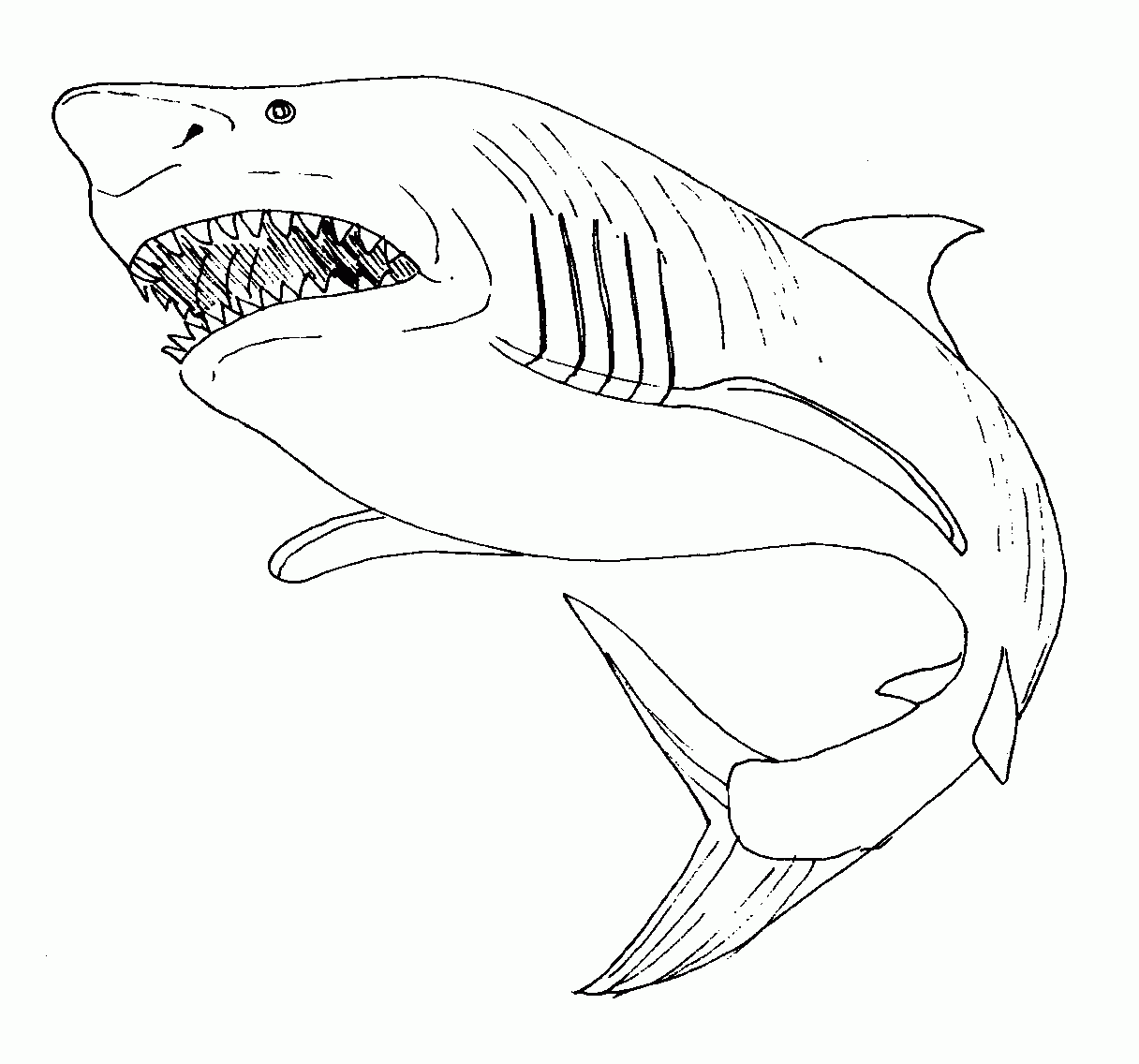 Dessin à colorier: Requin (Animaux) #14843 - Coloriages à Imprimer Gratuits
