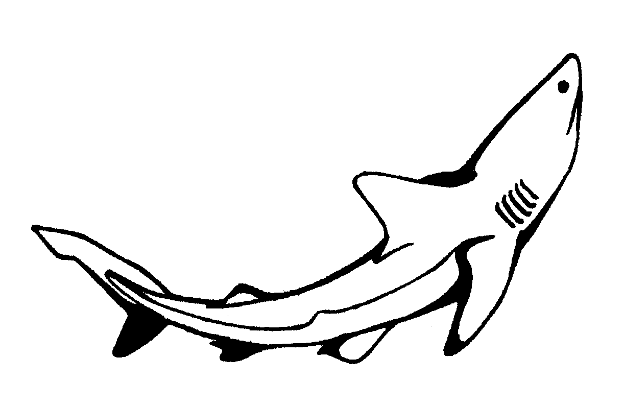 Dessin à colorier: Requin (Animaux) #14849 - Coloriages à Imprimer Gratuits