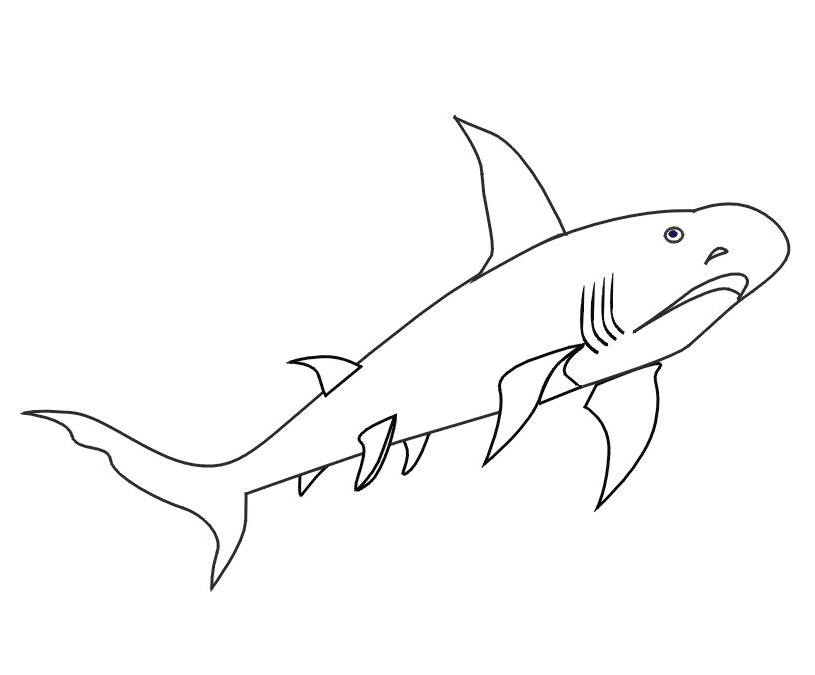 Dessin à colorier: Requin (Animaux) #14851 - Coloriages à Imprimer Gratuits