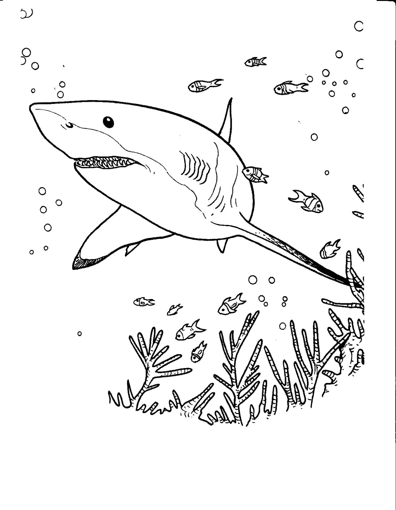 Dessin à colorier: Requin (Animaux) #14858 - Coloriages à Imprimer Gratuits