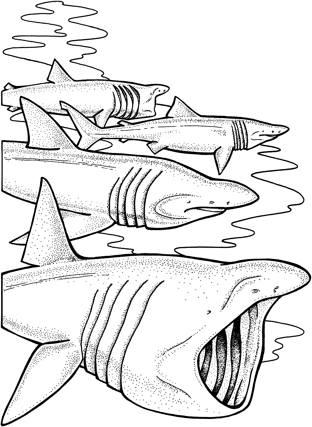 Dessin à colorier: Requin (Animaux) #14902 - Coloriages à Imprimer Gratuits