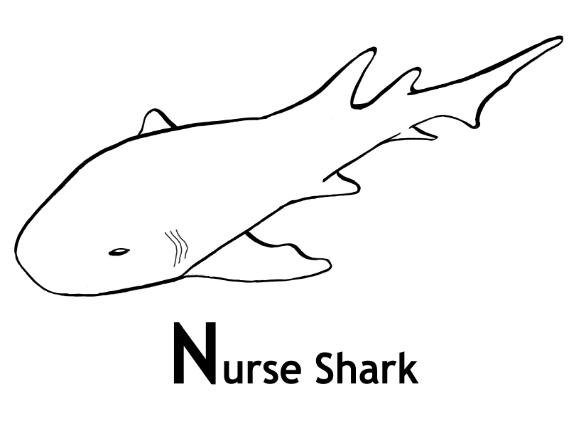 Dessin à colorier: Requin (Animaux) #14914 - Coloriages à Imprimer Gratuits