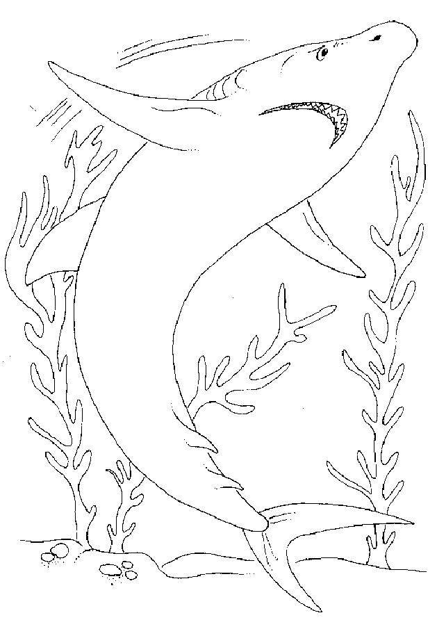Dessin à colorier: Requin (Animaux) #14927 - Coloriages à Imprimer Gratuits