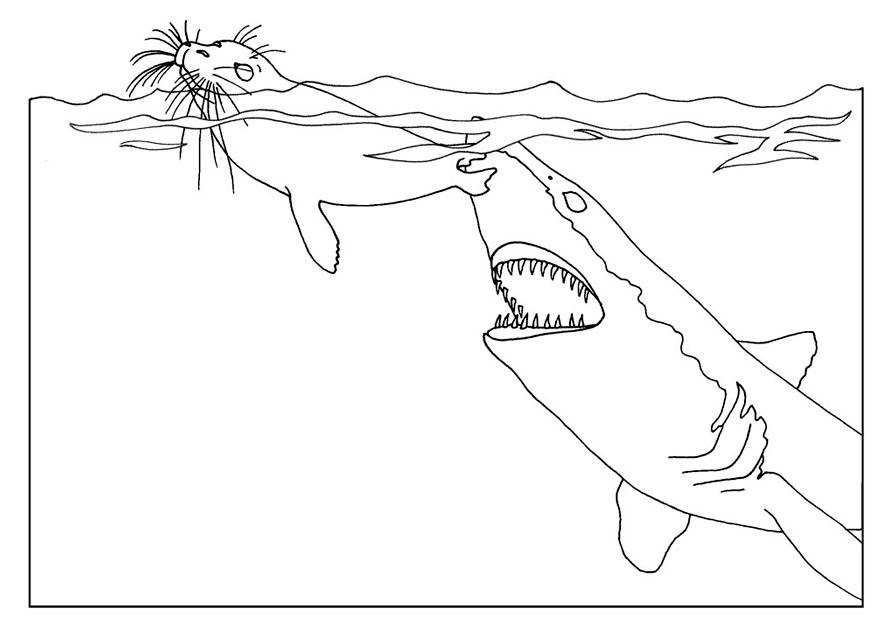 Dessin à colorier: Requin (Animaux) #14951 - Coloriages à Imprimer Gratuits