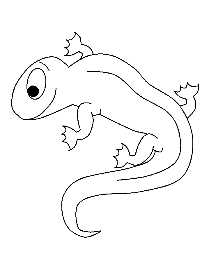 Dessin à colorier: Salamandre (Animaux) #19906 - Coloriages à Imprimer Gratuits