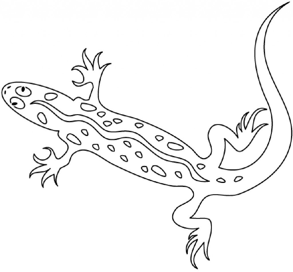 Dessin à colorier: Salamandre (Animaux) #19930 - Coloriages à Imprimer Gratuits