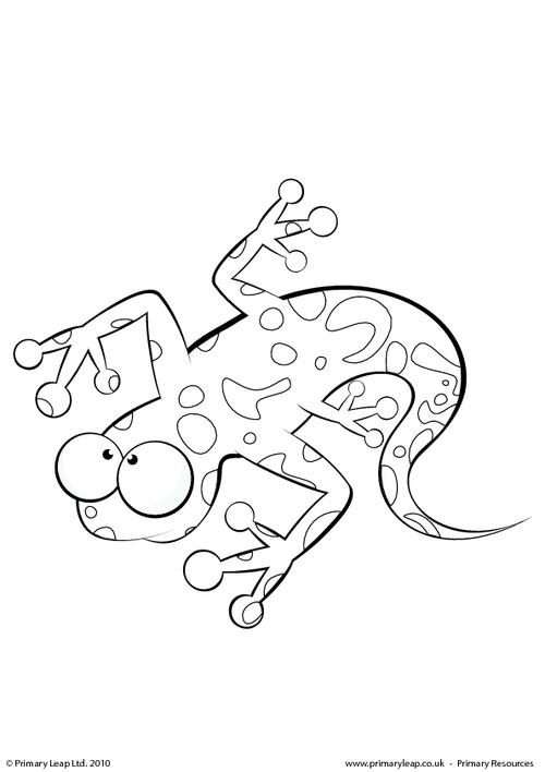 Dessin à colorier: Salamandre (Animaux) #19944 - Coloriages à Imprimer Gratuits