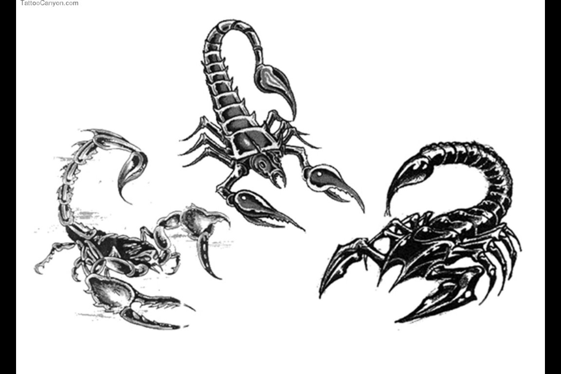 Dessin à colorier: Scorpion (Animaux) #14572 - Coloriages à Imprimer Gratuits
