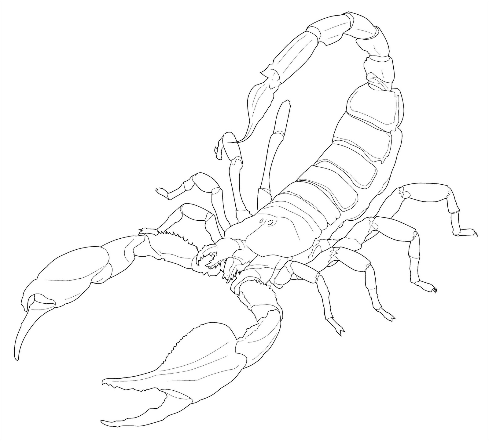 Dessin à colorier: Scorpion (Animaux) #14624 - Coloriages à Imprimer Gratuits