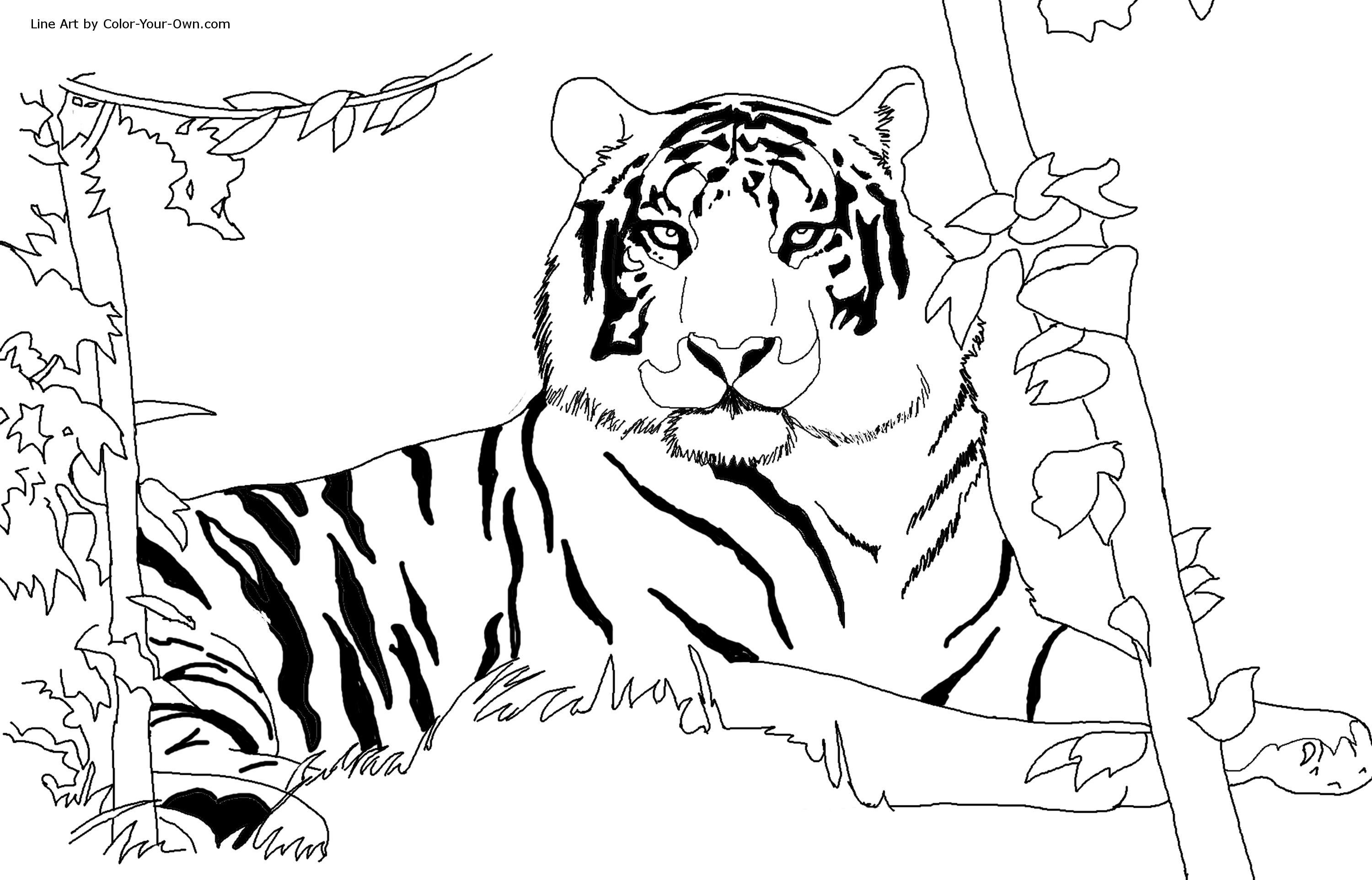 Dessin à colorier: Tigre (Animaux) #13590 - Coloriages à Imprimer Gratuits
