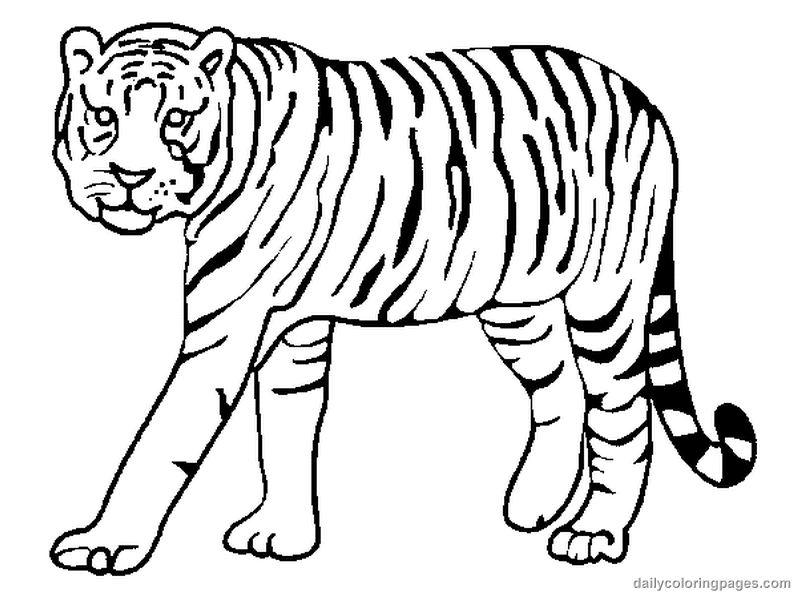Dessin à colorier: Tigre (Animaux) #13591 - Coloriages à Imprimer Gratuits