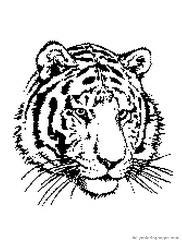 Dessin à colorier: Tigre (Animaux) #13592 - Coloriages à Imprimer Gratuits
