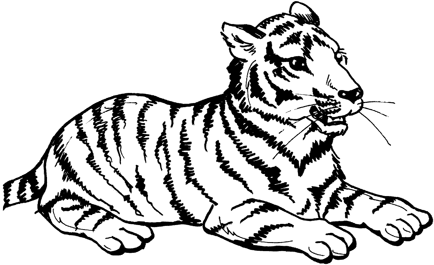 Dessin à colorier: Tigre (Animaux) #13597 - Coloriages à Imprimer Gratuits