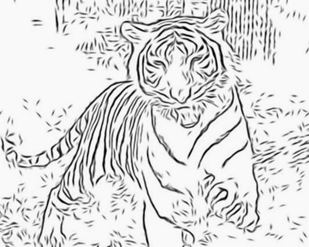 Dessin à colorier: Tigre (Animaux) #13606 - Coloriages à Imprimer Gratuits