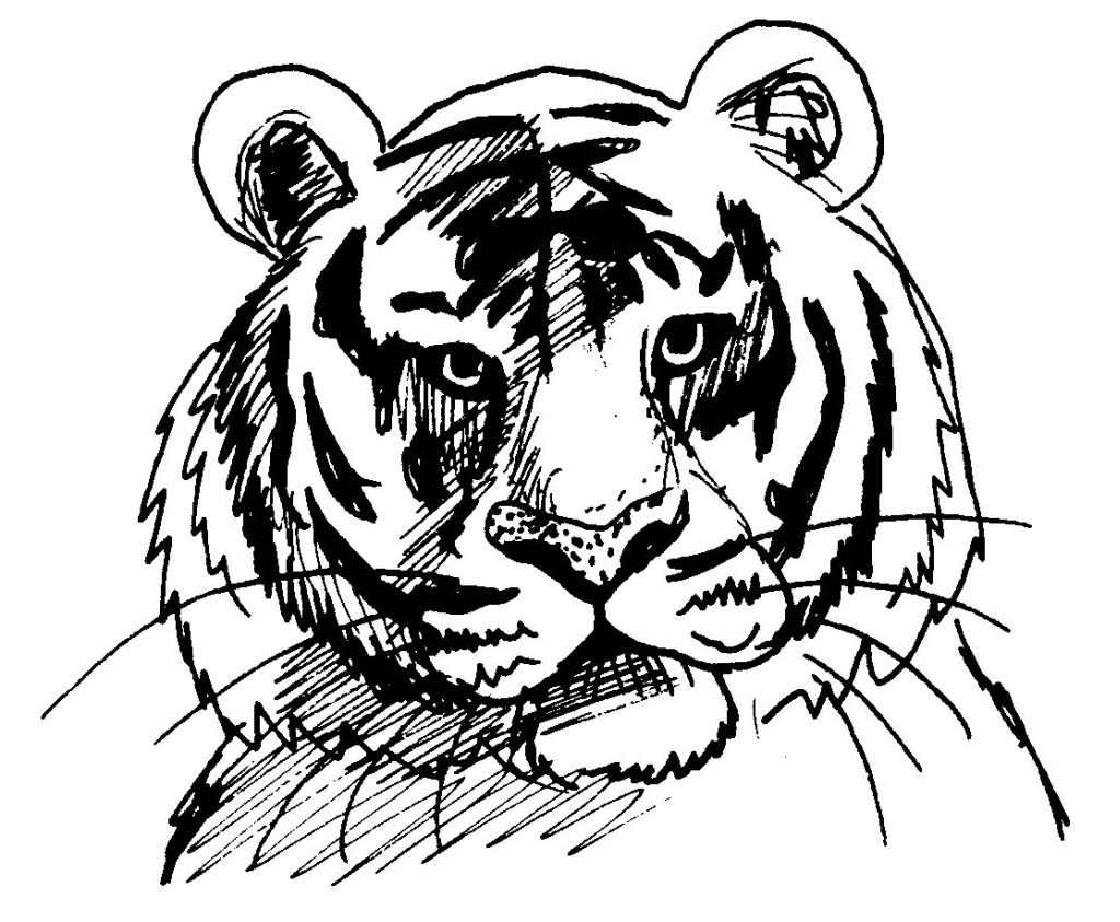 Dessin à colorier: Tigre (Animaux) #13610 - Coloriages à Imprimer Gratuits