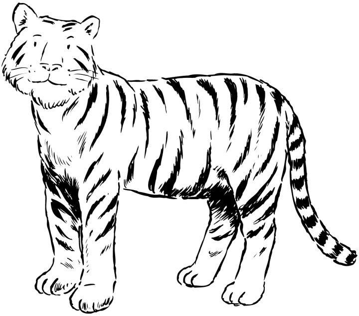 Dessin à colorier: Tigre (Animaux) #13621 - Coloriages à Imprimer Gratuits