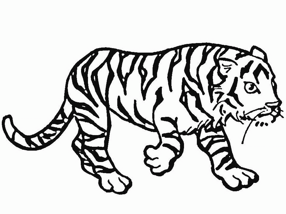 Dessin à colorier: Tigre (Animaux) #13629 - Coloriages à Imprimer Gratuits