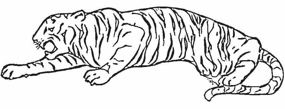 Dessin à colorier: Tigre (Animaux) #13637 - Coloriages à Imprimer Gratuits