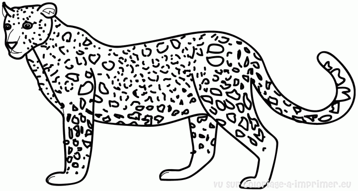 Dessin à colorier: Tigre (Animaux) #13649 - Coloriages à Imprimer Gratuits