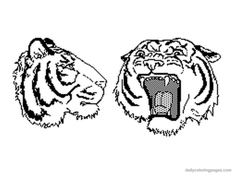 Dessin à colorier: Tigre (Animaux) #13697 - Coloriages à Imprimer Gratuits