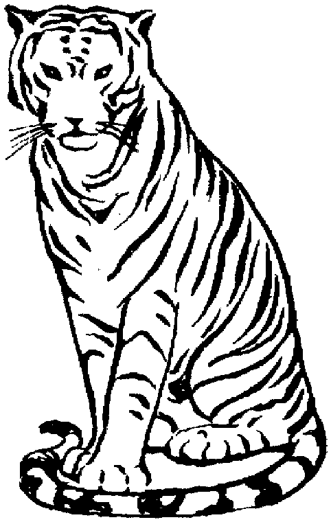 Dessin à colorier: Tigre (Animaux) #13736 - Coloriages à Imprimer Gratuits