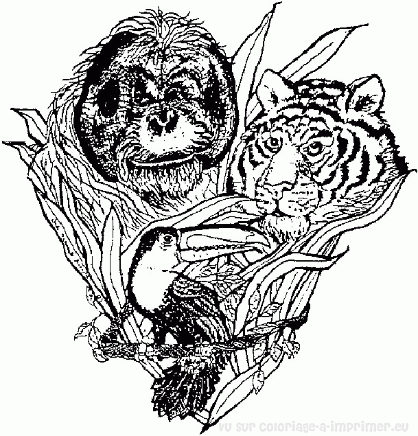 Dessin à colorier: Tigre (Animaux) #13756 - Coloriages à Imprimer Gratuits