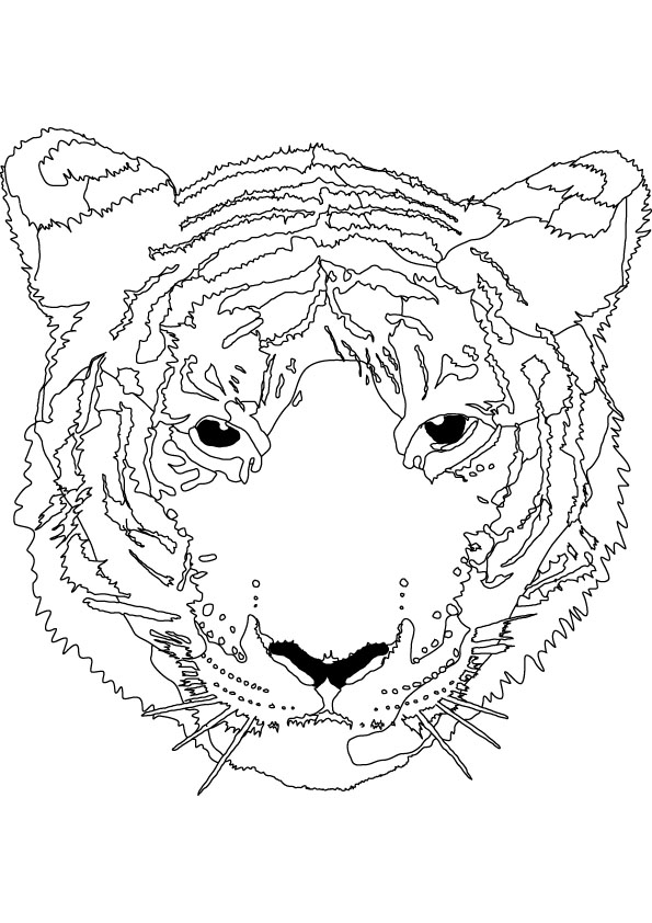 Dessin à colorier: Tigre (Animaux) #13771 - Coloriages à Imprimer Gratuits