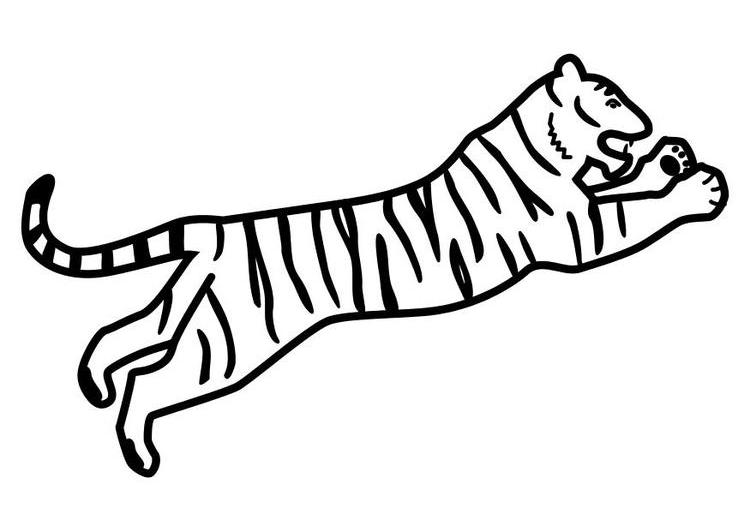 Dessin à colorier: Tigre (Animaux) #13780 - Coloriages à Imprimer Gratuits